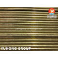 /msite/products/detail/productid/62760697/id/502887.html
